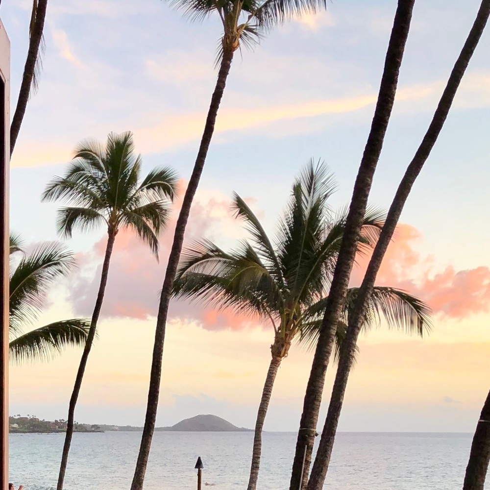 🍹🍍Maui 📷 🌿🌸 🌈 - Picture 6 of 8